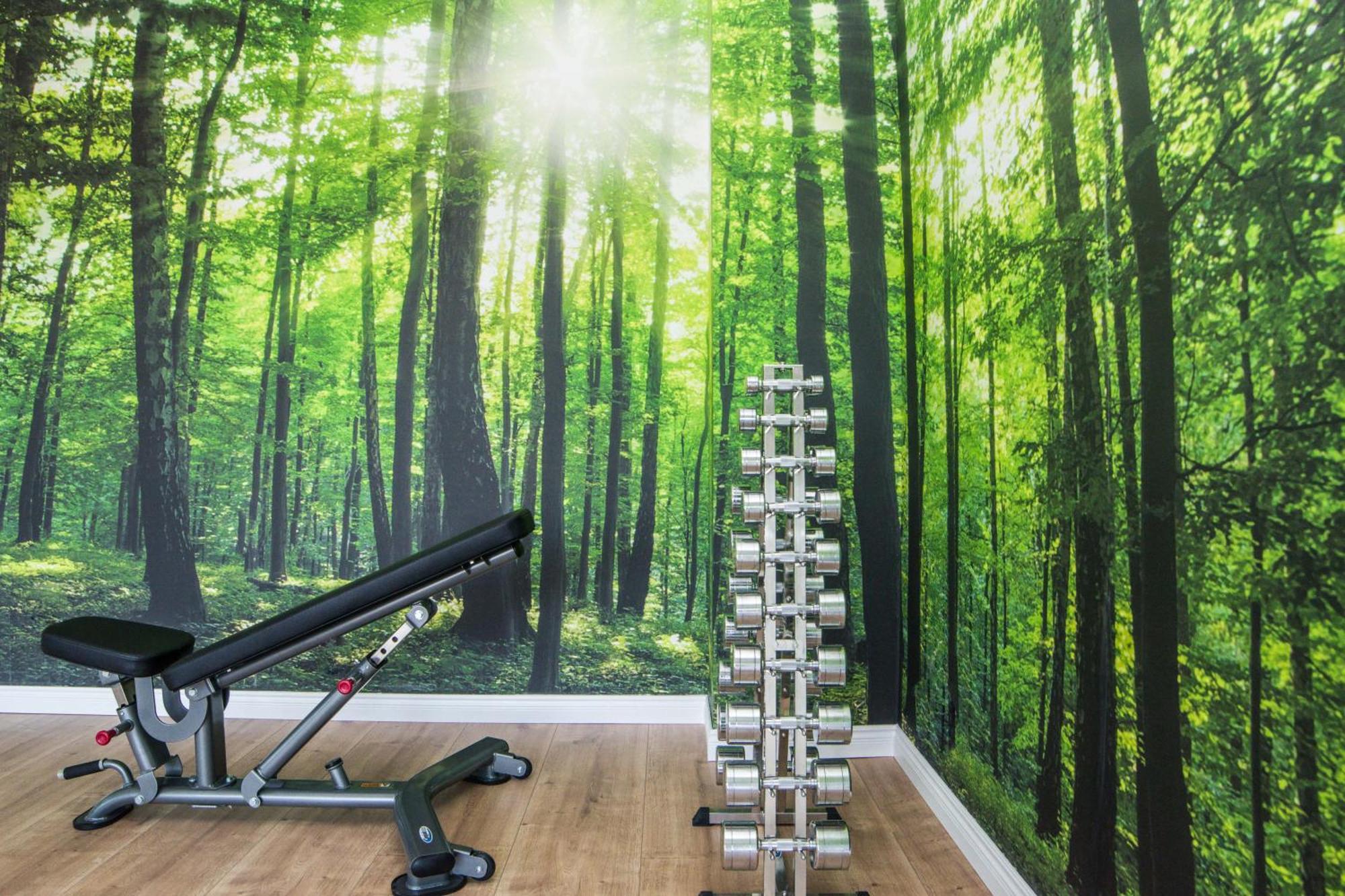 Pod Brzozami Apartamenty Gea Eco Sianozety Esterno foto
